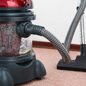 carpet cleaner