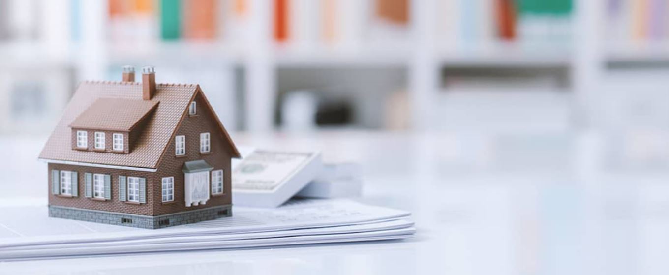 professional home builder